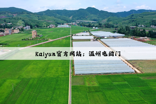 Kaiyun官方网站：温州电动门