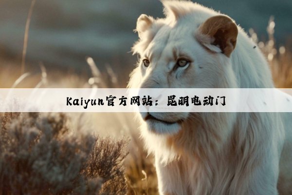 Kaiyun官方网站：昆明电动门