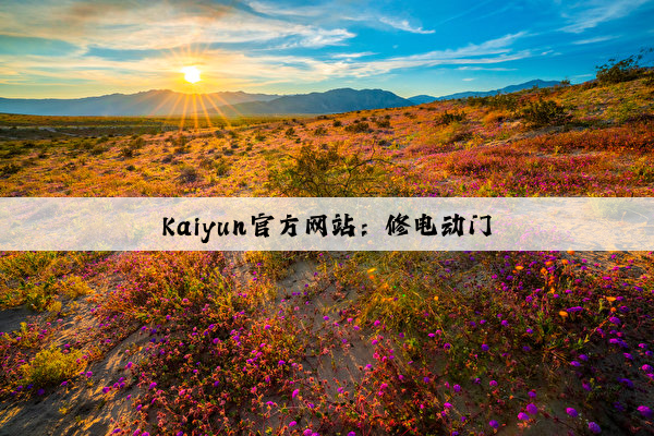 Kaiyun官方网站：修电动门