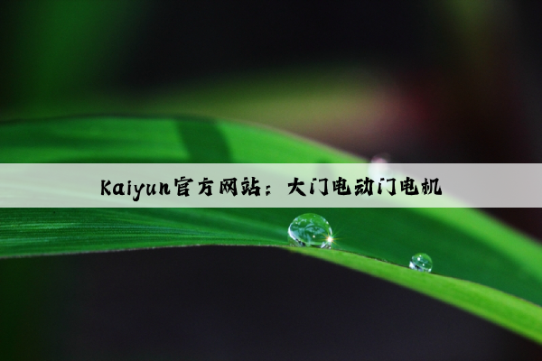 Kaiyun官方网站：大门电动门电机