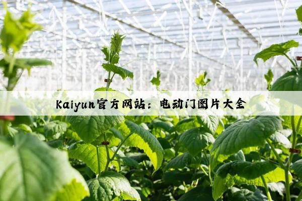 Kaiyun官方网站：电动门图片大全