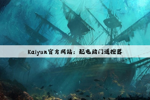 Kaiyun官方网站：配电动门遥控器