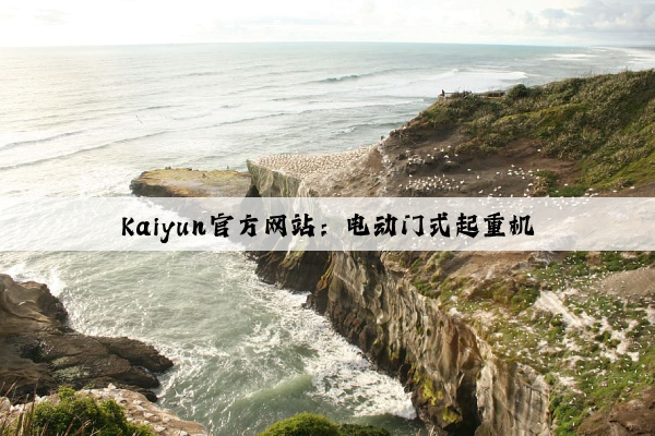 Kaiyun官方网站：电动门式起重机