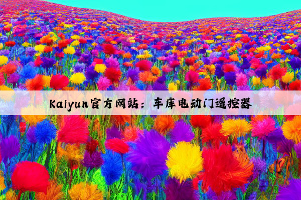 Kaiyun官方网站：车库电动门遥控器