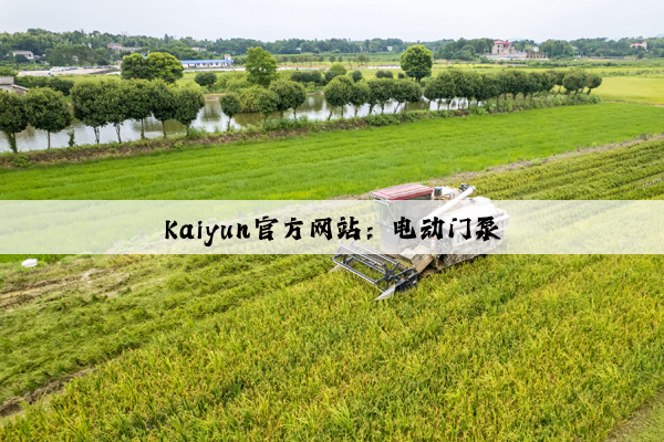 Kaiyun官方网站：电动门泵