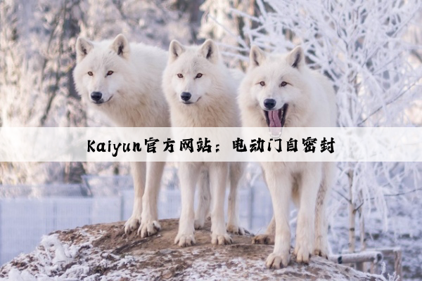 Kaiyun官方网站：电动门自密封